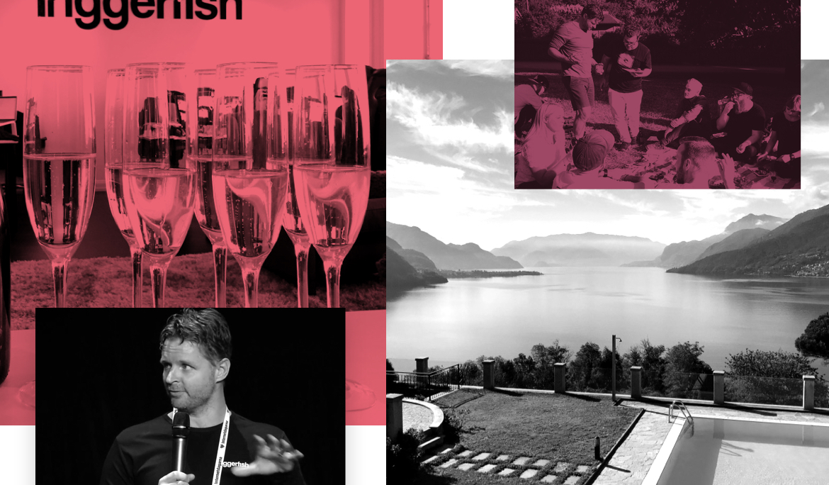 Triggerfish summerar 2016