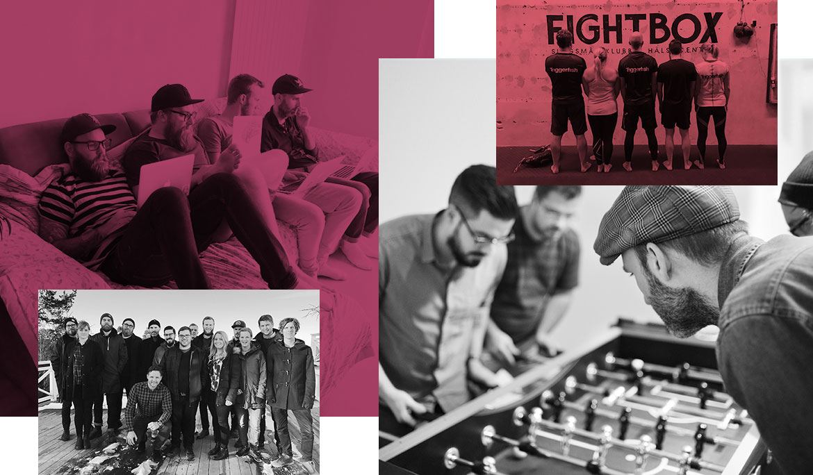 Triggerfish växer med nya medarbetare