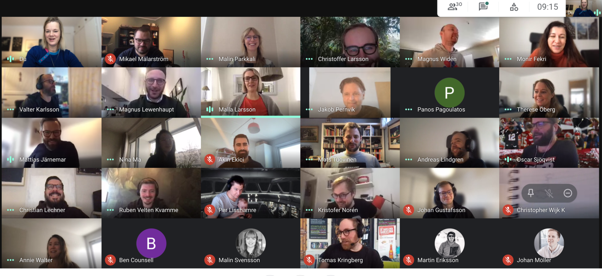 Digitalt möte med Triggerfish
